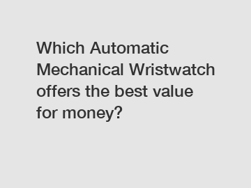 Which Automatic Mechanical Wristwatch offers the best value for money?