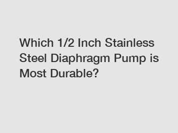 Which 1/2 Inch Stainless Steel Diaphragm Pump is Most Durable?