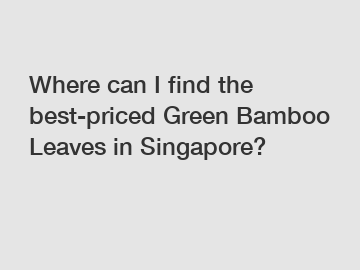 Where can I find the best-priced Green Bamboo Leaves in Singapore?