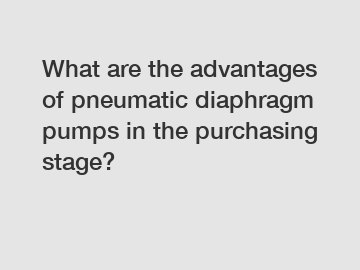 What are the advantages of pneumatic diaphragm pumps in the purchasing stage?