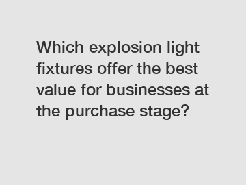 Which explosion light fixtures offer the best value for businesses at the purchase stage?