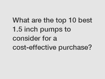 What are the top 10 best 1.5 inch pumps to consider for a cost-effective purchase?