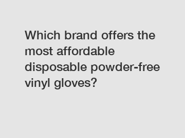 Which brand offers the most affordable disposable powder-free vinyl gloves?