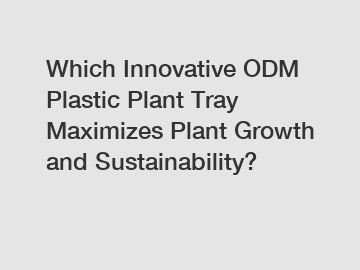 Which Innovative ODM Plastic Plant Tray Maximizes Plant Growth and Sustainability?
