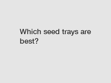 Which seed trays are best?