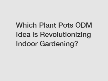 Which Plant Pots ODM Idea is Revolutionizing Indoor Gardening?