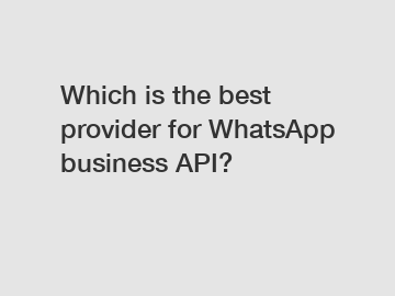Which is the best provider for WhatsApp business API?