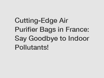 Cutting-Edge Air Purifier Bags in France: Say Goodbye to Indoor Pollutants!
