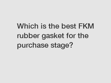 Which is the best FKM rubber gasket for the purchase stage?