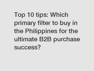 Top 10 tips: Which primary filter to buy in the Philippines for the ultimate B2B purchase success?
