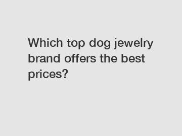 Which top dog jewelry brand offers the best prices?