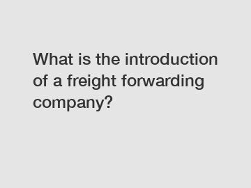 What is the introduction of a freight forwarding company?